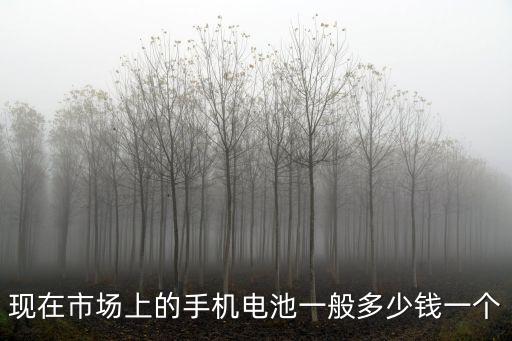 現(xiàn)在市場上的手機(jī)電池一般多少錢一個(gè)