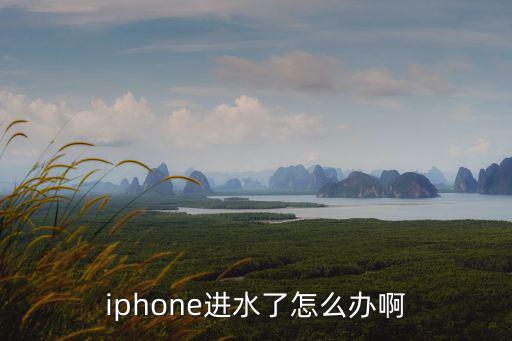 蘋果手機進(jìn)水了，iphone進(jìn)水了怎么辦啊