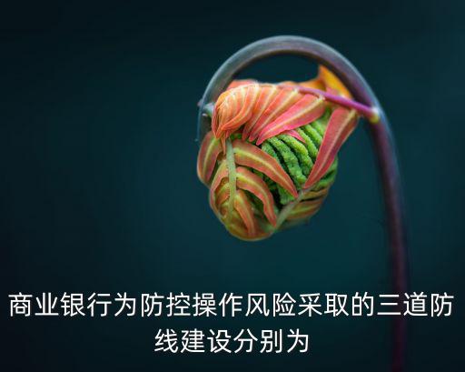 商業(yè)銀行為防控操作風(fēng)險采取的三道防線建設(shè)分別為