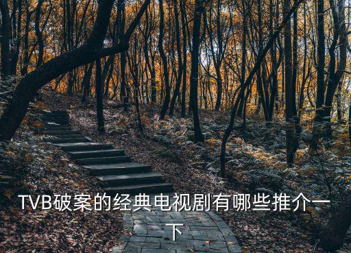 大掌門電視劇，關(guān)于女捕快的所有電視劇