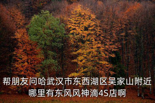 幫朋友問哈武漢市東西湖區吳家山附近哪里有東風風神滴4S店啊