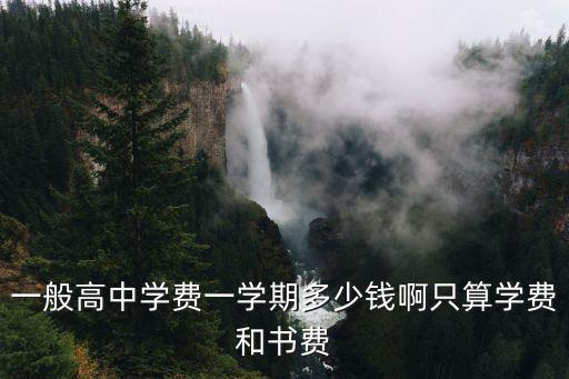 一般高中學費一學期多少錢啊只算學費和書費