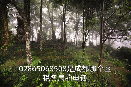 02865068508是成都哪個區稅務局的電話