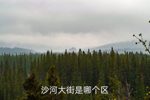 沙河街道，深圳南山白石洲沙河街道辦在哪里