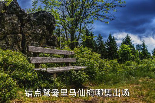 馬仙梅，錯點鴛鴦里馬仙梅哪集出場