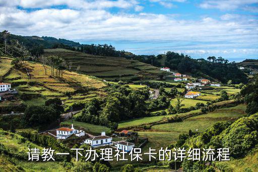請教一下辦理社保卡的詳細流程