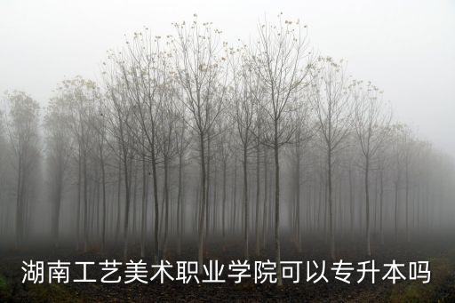 湖南工藝美術(shù)職業(yè)學(xué)院，請(qǐng)問(wèn)湖南工藝美術(shù)職業(yè)學(xué)院到底怎么樣好不好
