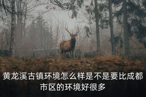 黃龍溪古鎮環境怎么樣是不是要比成都市區的環境好很多