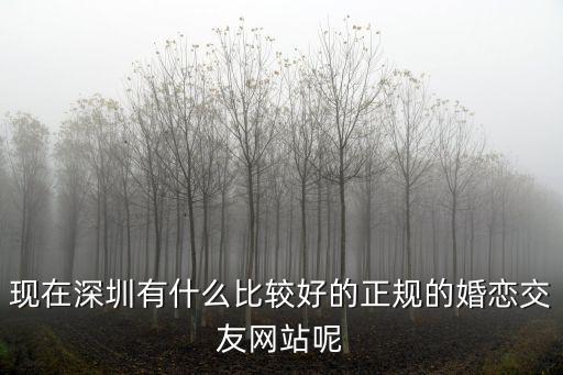 現在深圳有什么比較好的正規的婚戀交友網站呢