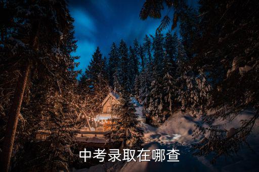 中考錄取在哪查