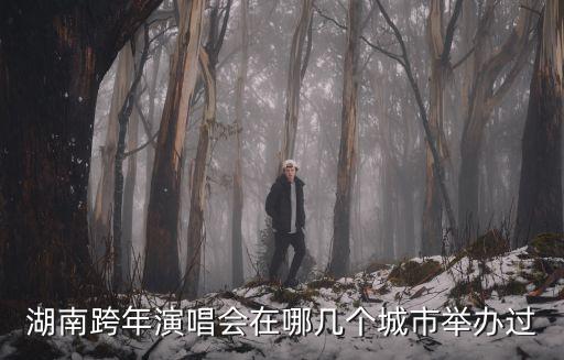 湖南跨年演唱會，exo上了那幾期湖南衛視的跨年演唱會