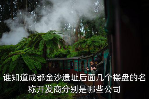 誰知道成都金沙遺址后面幾個樓盤的名稱開發商分別是哪些公司