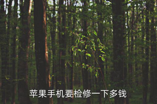 蘋果手機要檢修一下多錢