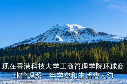 現在香港科技大學工商管理學院環球商業管理系一年學費和生活費大約