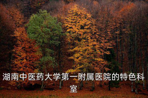 湖南中醫藥大學第一附屬醫院的特色科室