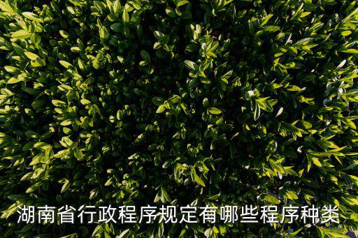 湖南省行政程序規定有哪些程序種類