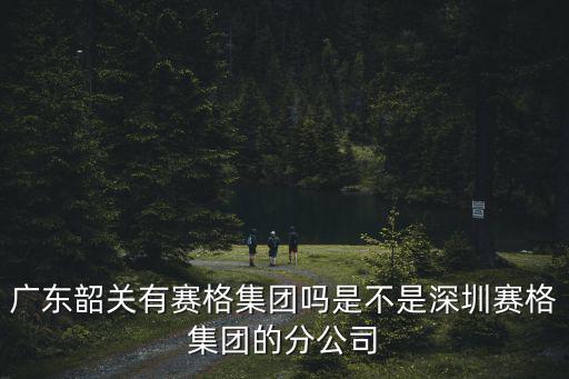 廣東韶關有賽格集團嗎是不是深圳賽格集團的分公司