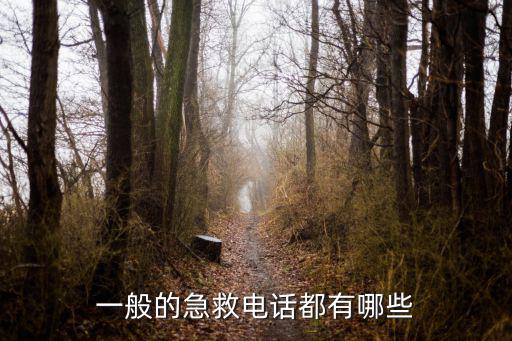 一般的急救電話都有哪些
