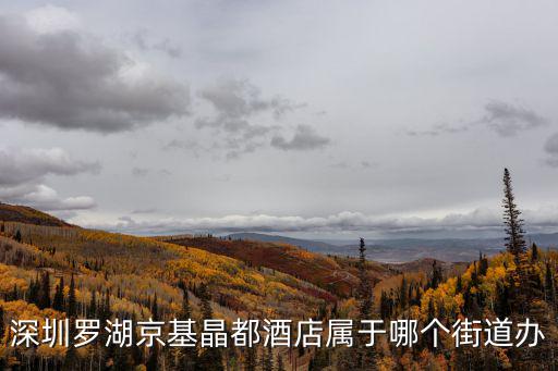 深圳羅湖京基晶都酒店屬于哪個街道辦