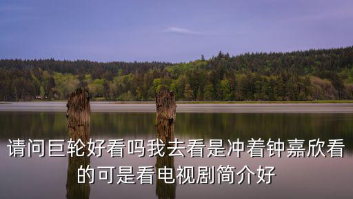 請問巨輪好看嗎我去看是沖著鐘嘉欣看的可是看電視劇簡介好