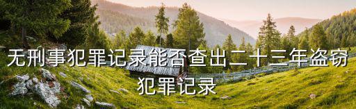 無刑事犯罪記錄能否查出二十三年盜竊犯罪記錄