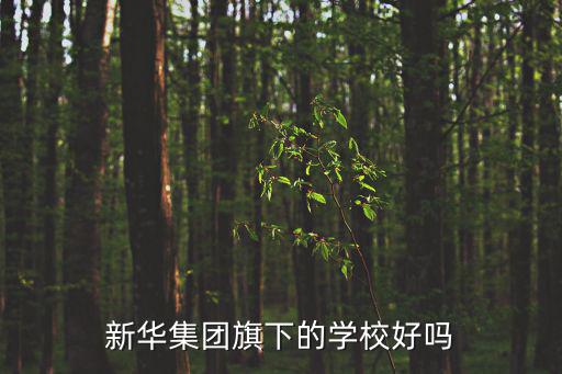 新華集團(tuán)旗下的學(xué)校好嗎