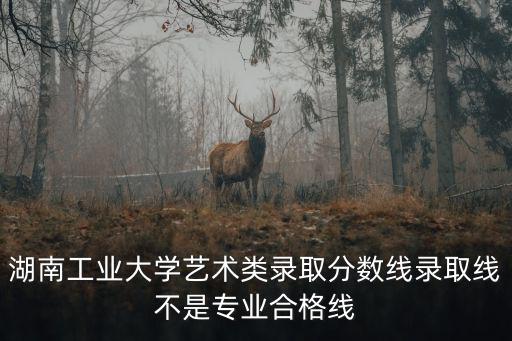 湖南工業(yè)大學藝術類錄取分數(shù)線錄取線不是專業(yè)合格線