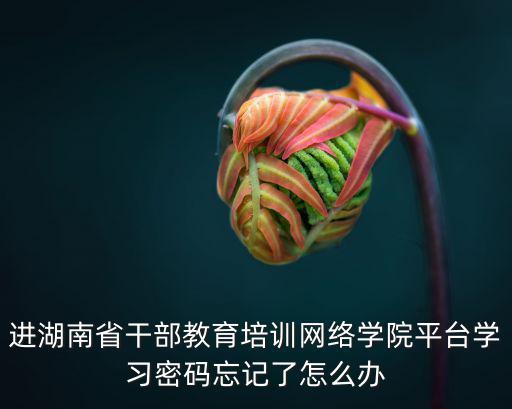 湖南省干部教育培訓網絡學院，中國教育干部網絡培訓可用手機登陸嗎