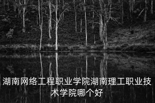 湖南網(wǎng)絡(luò)工程職業(yè)學(xué)院湖南理工職業(yè)技術(shù)學(xué)院哪個(gè)好