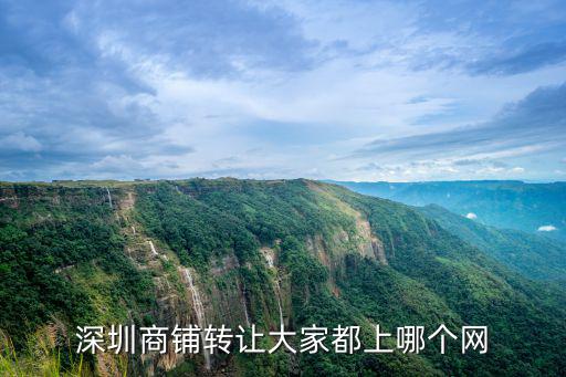 深圳商鋪轉讓大家都上哪個網