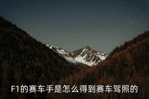 F1的賽車手是怎么得到賽車駕照的