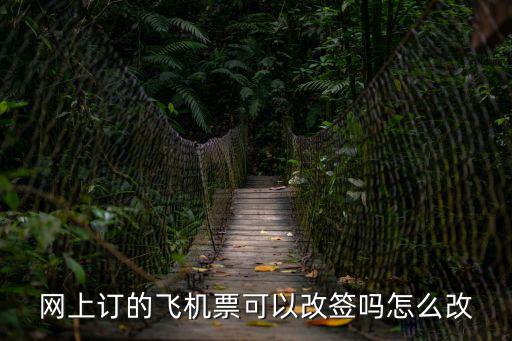 網上訂的飛機票可以改簽嗎怎么改