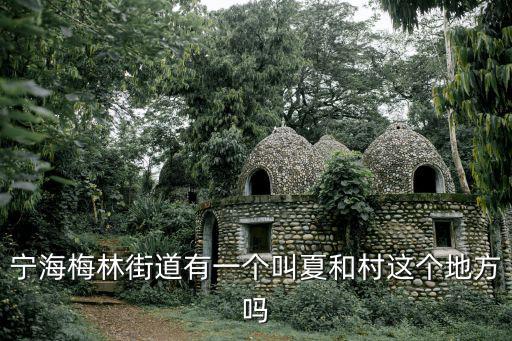 梅林街道，寧海梅林街道有一個(gè)叫夏和村這個(gè)地方嗎