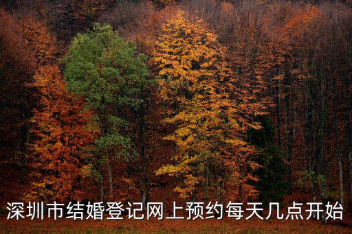 深圳市結婚登記網上預約每天幾點開始