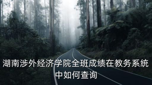 湖南涉外經(jīng)濟學院全班成績在教務(wù)系統(tǒng)中如何查詢