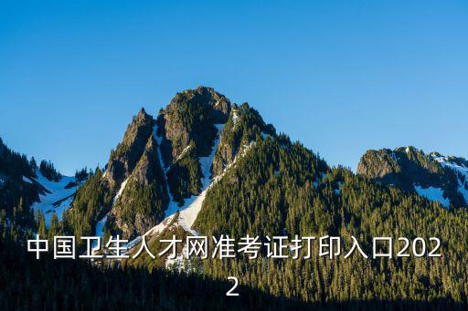 中國衛生人才網準考證打印入口2022