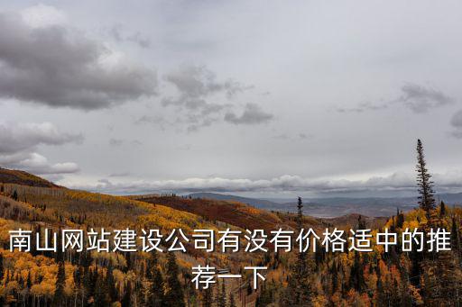 南山網站建設公司有沒有價格適中的推薦一下
