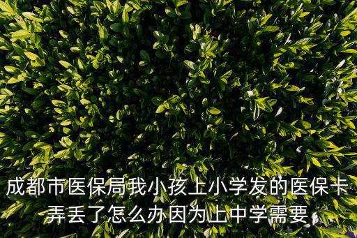 成都醫保局，成都市錦江區醫保局地址