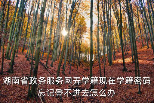 湖南省政務(wù)服務(wù)網(wǎng)弄學(xué)籍現(xiàn)在學(xué)籍密碼忘記登不進(jìn)去怎么辦