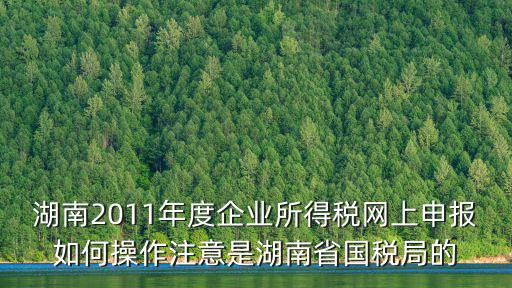 湖南2011年度企業所得稅網上申報如何操作注意是湖南省國稅局的