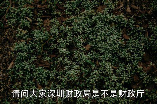 請問大家深圳財(cái)政局是不是財(cái)政廳