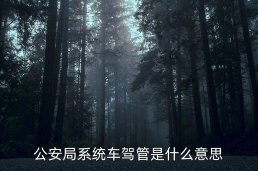 車駕管業務是什么，交警車架管業務是啥