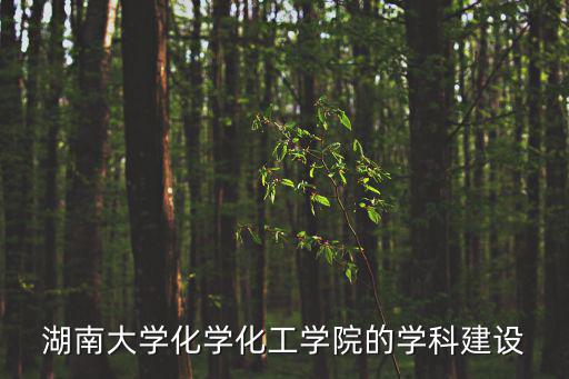 湖南大學化學化工學院的學科建設