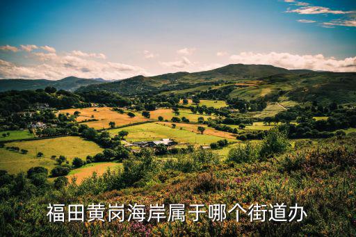 福保街道，深圳市福田區(qū)福山街道辦 電話