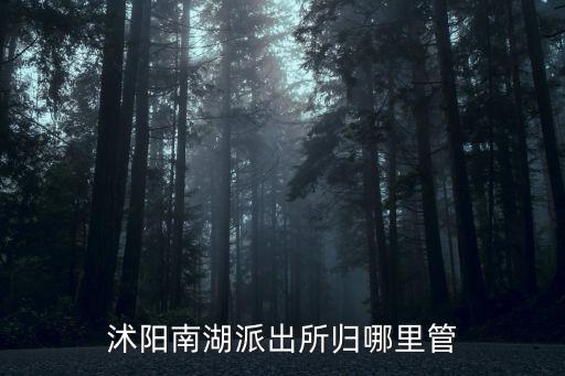南湖派出所，深圳市羅湖區(qū)南湖派出所所長叫什么名字
