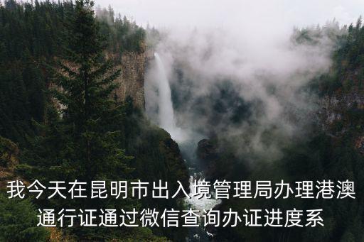 我今天在昆明市出入境管理局辦理港澳通行證通過微信查詢辦證進度系