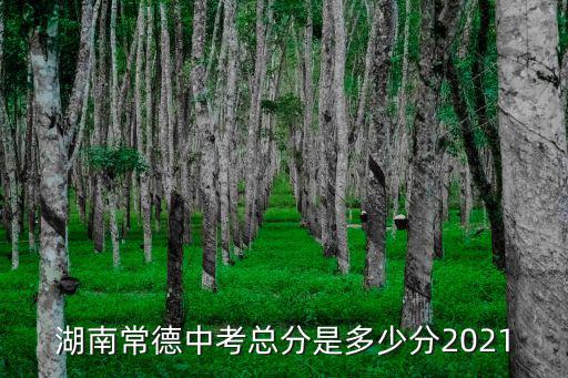 湖南省常德市，常德屬于哪個地區
