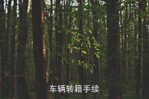 車輛轉籍手續