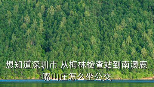 想知道深圳市 從梅林檢查站到南澳鹿嘴山莊怎么坐公交