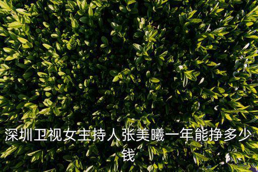 深圳衛(wèi)視女主持人張美曦一年能掙多少錢
